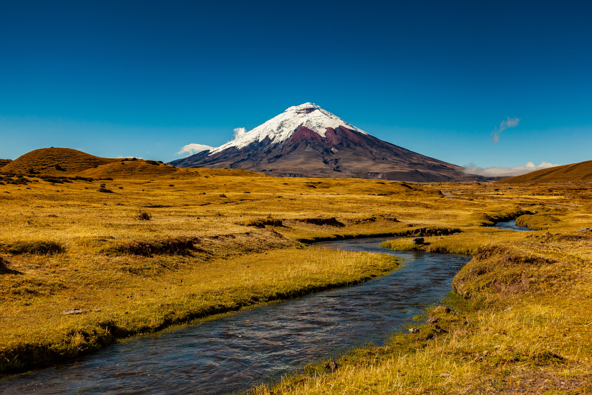 cotopaxi national park 01.webp